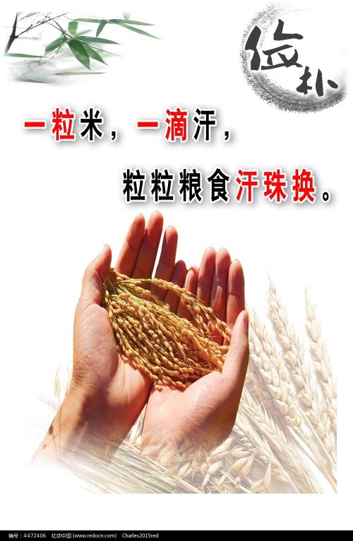 大阪成蹊大学Diploma in Public Administration